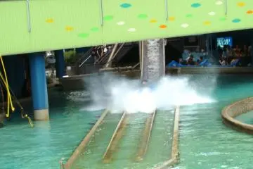 Water slide