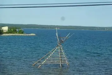 Boa watch tower