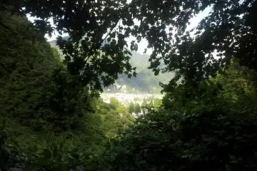 Surrounded by nature as you look back down the valley.