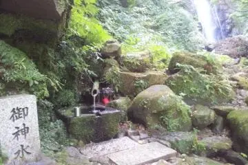 Enjoy a cup of natural spring water from source.