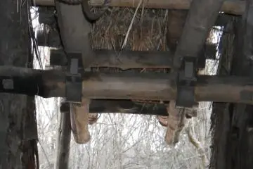 Jomon-style door