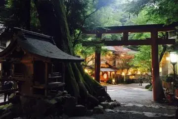 A secluded scene.