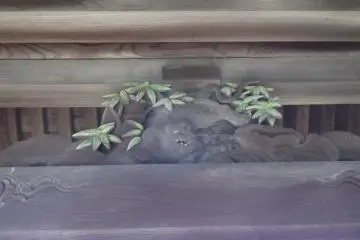 Always look up under the eaves