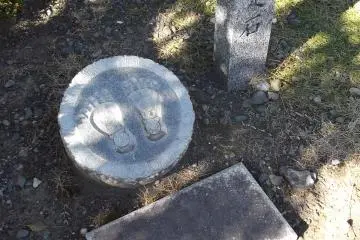The Buddha's footprints?