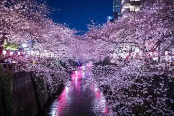 See Japan and stay connected