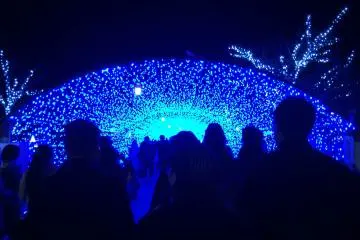 Visitors marvel at the "Miraie" winter holiday illumination in Tsuruga City. With its location near the Tsuruga Railway Museum and the newly renovated Tsuruga Red Brick Warehouse, this attraction makes the perfect end to a fun-filled day in Tsuruga City