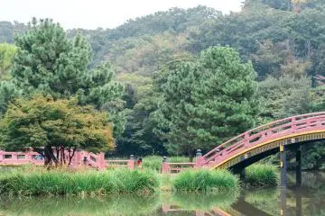 The garden was designed to represent the pure land or Buddhist Paradise in the real world.