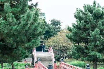 It is said that the arched and flat bridges over the pond connect this world to the future and Buddha’s world.