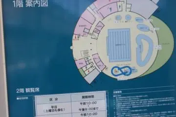Here, you can see the floor plan, with the blue areas indicating pools