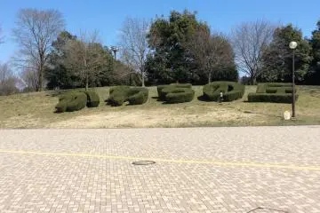 The park and pool are fairly easy to find. This hedge spells out the name Kawachi