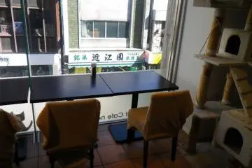 ที่นั่งที่มองเห็นวิวถนน