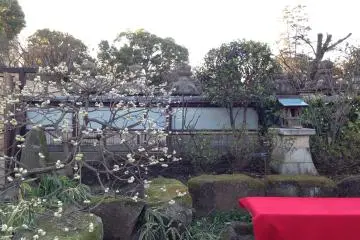 The haiku corner
