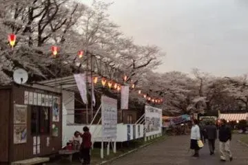 The park is a popular place for festivals and viewing cherry blossoms.
