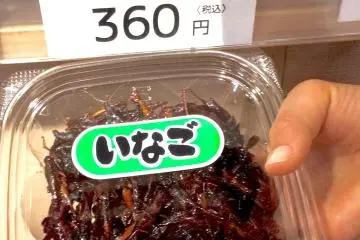 Locusts in soy sauce and sugar