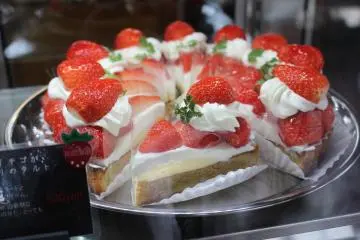Cake at Paddle