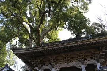 Outside Daijoji, Hyogo