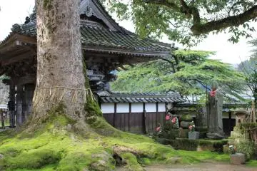 Hyogo Highlight: Daijoji temple grounds