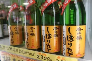 Sake tasting at Kasumi Tsuru brewery