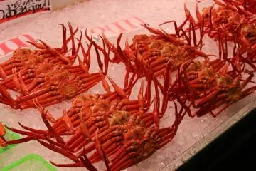 Crab to buy at Sakaiminato Fish Centre (up until April each year – the end of crab season)