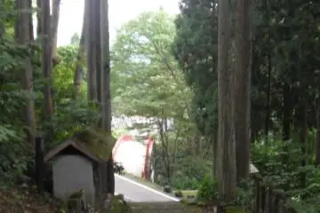 Looking down the path to the bridge (Photo: Kerrie)