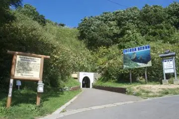 Gallery image