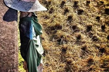<p>ช่วงเก็บเกี่ยวมาปุ๊บ ก็หมดหน้าที่ของเจ้าหุ่นไล่กาปั๊บ</p>