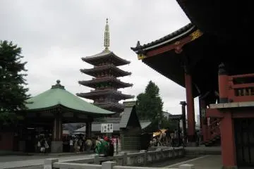 Good view of part of the compound