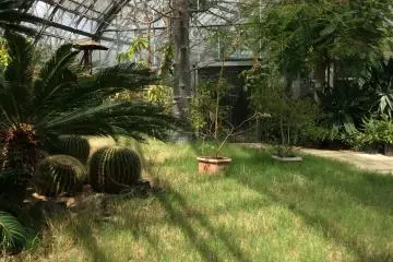 Berjalan melalui sebuah pintu, dan habitatnya pun berubah. Ini adalah zona savana, di mana orang dapat mendekati burung-burung cinta di dalam kandang