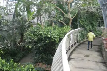 Dapatkah Anda melihat buah sosis di foto ini?
