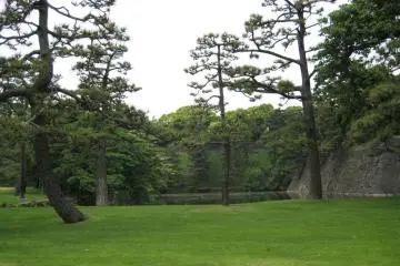Beautiful green grounds (Photo: Michael Kaplan May 2008)