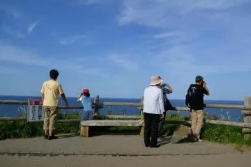 With so many wonderful views, there are many cameras in action.