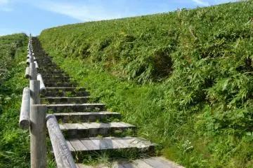 One of the trails leading up to the viewpoints.