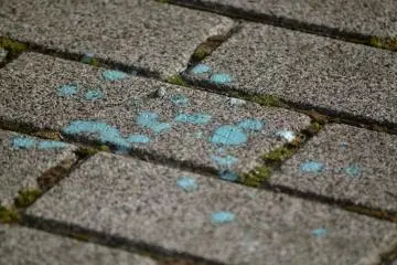 But on warmer days, it melts faster than many can eat it, resulting in colorful droppings on the ground.