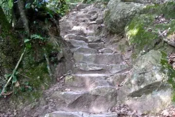The trail to the summit of Kumatsuyama. It alternates between bare earth and tree roots, and steep stone stairs like these