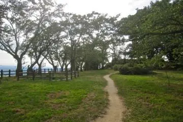 The summit of Kumatsuyama. There are benches and this broad lawn which makes a nice location for a picnic