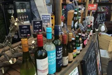 Brews to choose from.