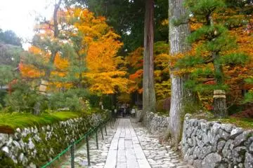 The path up to the Hondo