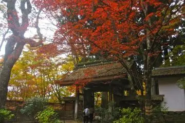 The annex gate