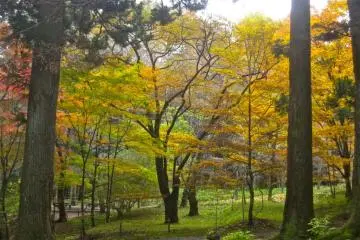 There's color everywhere you look