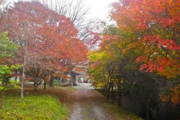The path between the art museum and Komagane's grounds