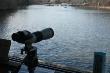 Bird watching at Torimi-tei Visitor Center - binoculars provided
