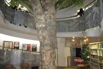 The tree room. Follow the spiral sidewalk up and up. (Photo: Erin Koch)