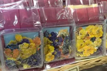 식용꽃