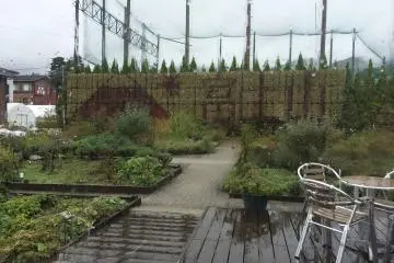 밖의 허브 정원