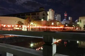 The beautiful night view of the pond outside Sunpu Park (Photo: Tyra 'nell E. Pille)