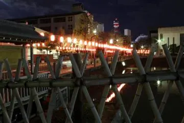 Taking in a pleasant night view of the pond from behind the bamboo fence (Photo: Tyra 'nell E. Pille)