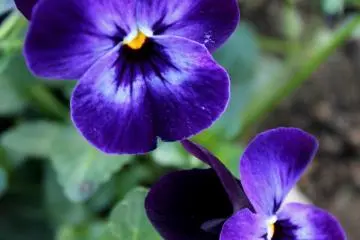 Enjoying the diversity of life and colors around me (Photo: Tyra 'nell E. Pille)