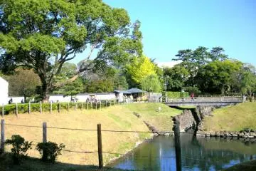 The pond from inside Sunpu Park