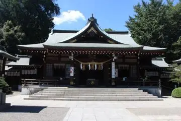 Gallery image