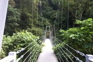 The bridge may be a little shaky, but it's sturdy.